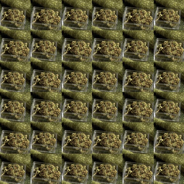 Modello Senza Cuciture Con Germogli Marijuana — Foto Stock