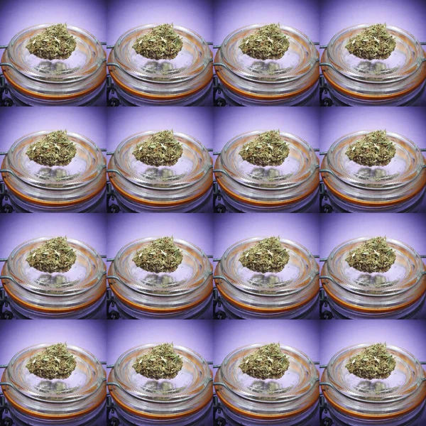 Bezszwowy Wzór Pączkami Marihuany Słoiki Szklane — Zdjęcie stockowe