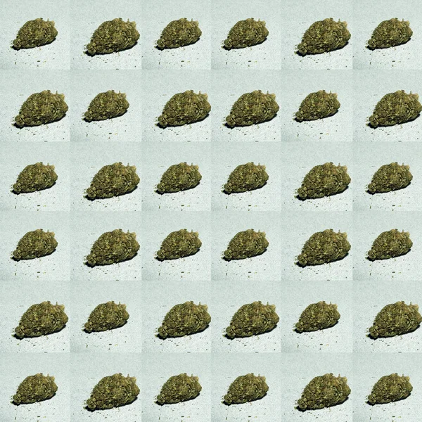 Seamless Pattern Marijuana Buds — Stock Photo, Image