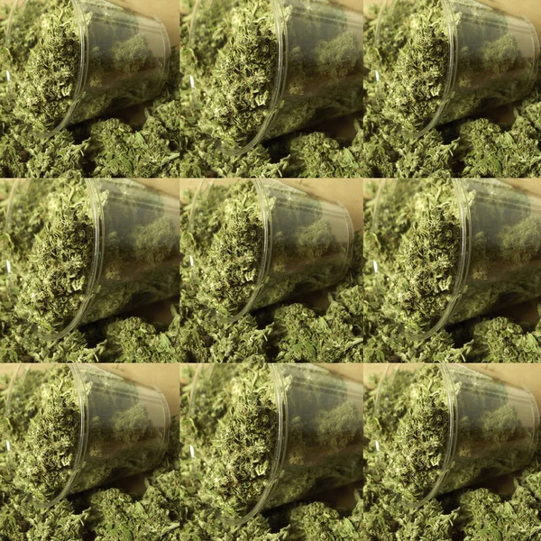 Seamless Pattern Marijuana Buds — Stock Photo, Image