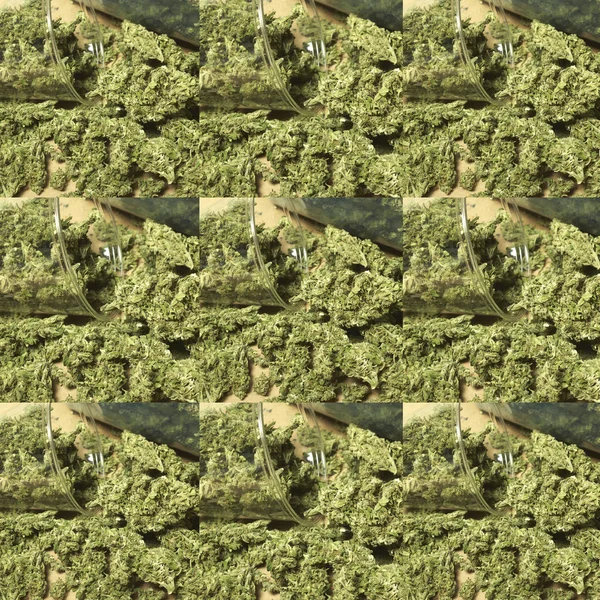 Sömlöst Mönster Med Marijuana Knoppar — Stockfoto