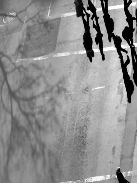 Route Asphaltée Grise Avec Des Gens Qui Marchent Ombres — Photo