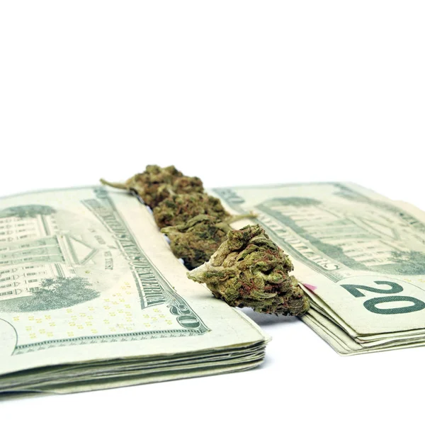 Marihuana en geld — Stockfoto