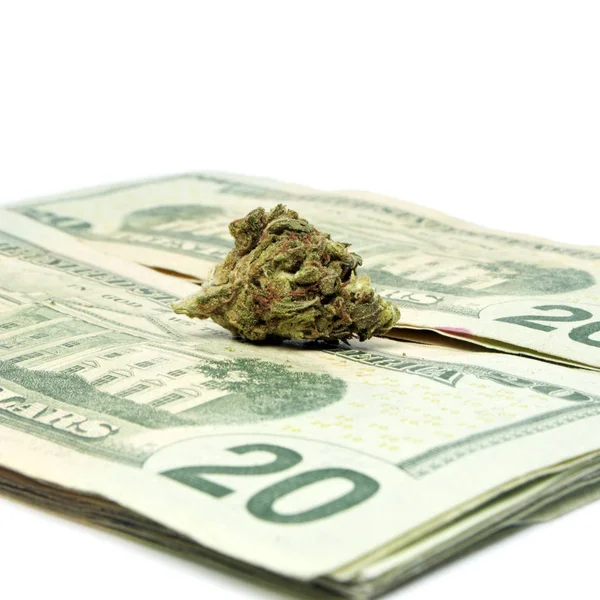 Marihuana en geld — Stockfoto