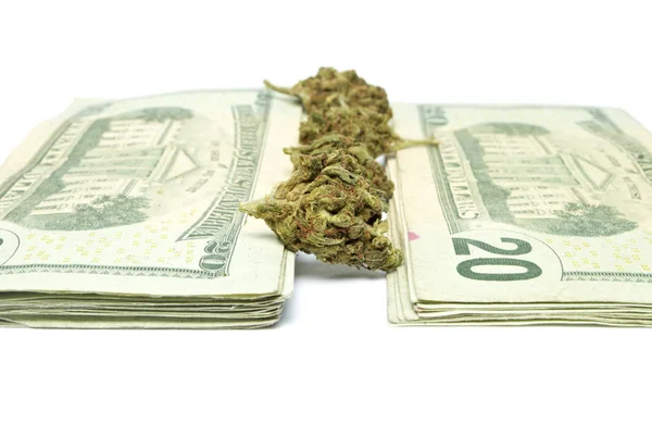 Marihuana en geld — Stockfoto