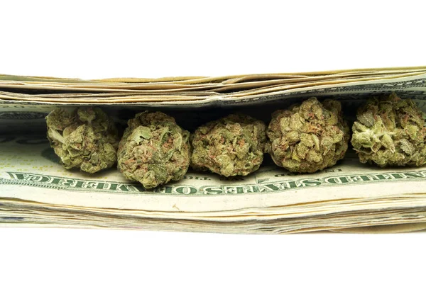 Marihuana y dinero — Foto de Stock