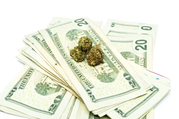 Marihuana y dinero — Foto de Stock