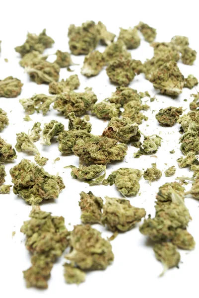 Suszone Marihuany Białym Tle Koncepcja Uzależnienia Narkotyków Koncepcja Medyczna Marihuana — Zdjęcie stockowe