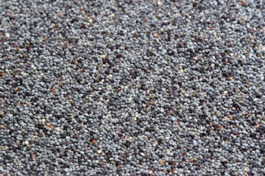 siyah haşhaş tohumları arka planı