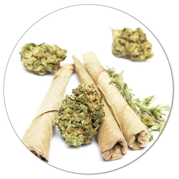 Konzeptionelle Zusammensetzung Von Marihuana Isoliert Auf Weißem Hintergrund — Stockfoto