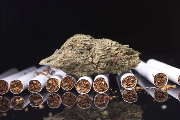 Gedroogde Marihuana Sigaretten Drugsverslaving Concept Medisch Marihuana Concept — Stockfoto