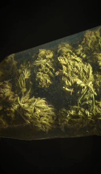 Vista Cerca Los Brotes Marihuana Empaquetados Sobre Fondo Oscuro — Foto de Stock