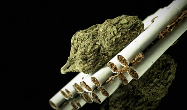 乾燥したマリファナとタバコ薬物中毒の概念 医療用マリファナの概念 — ストック写真