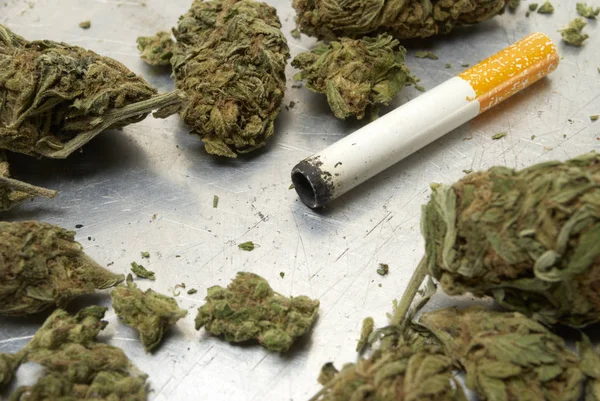 Getrocknetes Marihuana Und Zigaretten Drogenabhängigkeit Medizinisches Marihuana Konzept — Stockfoto