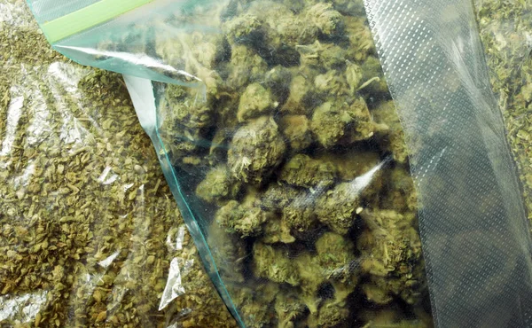 Begreppsmässig Sammansättning Marijuana Droger — Stockfoto