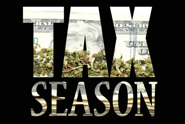 Inscripción Temporada Impuestos Con Marihuana Dinero Interior Sobre Fondo Negro —  Fotos de Stock