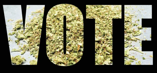 黑底大麻的选民登记 合法化的概念 — 图库照片