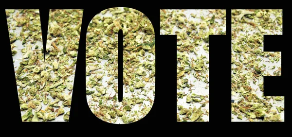 黑底大麻的选民登记 合法化的概念 — 图库照片