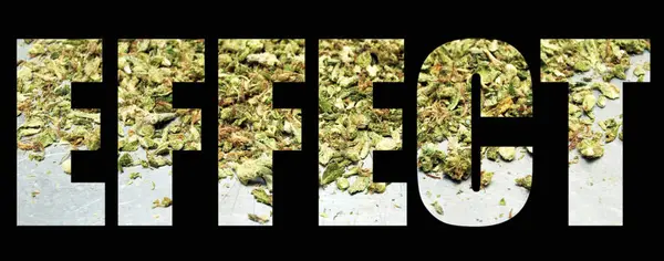 Letras Efecto Sobre Fondo Negro Con Marihuana —  Fotos de Stock