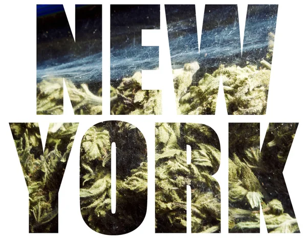 New York Belettering Achtergrond Met Marihuana — Stockfoto