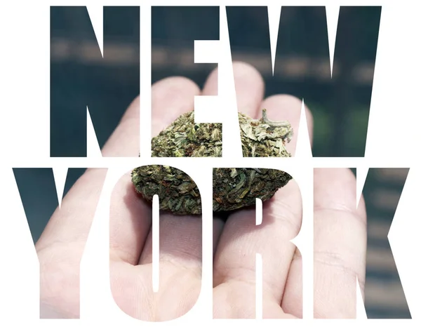 Nye York Bogstaver Baggrund Med Marihuana - Stock-foto