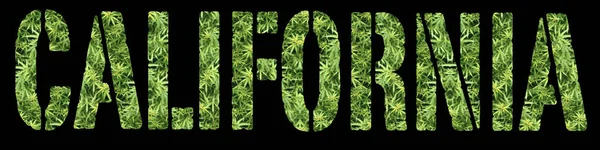 Medische Marihuana Conceptuele Poster Met Tekst — Stockfoto