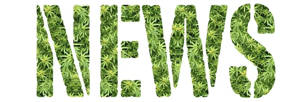 Nieuwsbericht Marihuana Achtergrond — Stockfoto