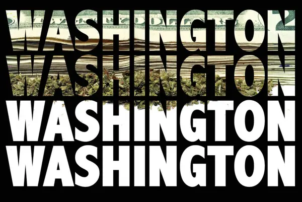 Вашингтонские Надписи Марихуаной Внутри Черном Фоне — стоковое фото