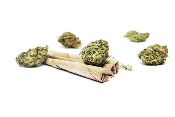 Konzeptionelle Zusammensetzung Der Marihuana Produktion Stillleben Isoliert Auf Weißem Hintergrund — Stockfoto