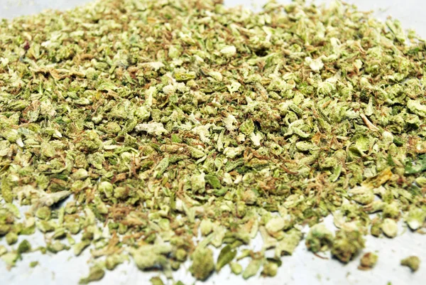 Torkad Marijuana Narkotika Missbruk Koncept Medicinsk Marijuana Koncept — Stockfoto