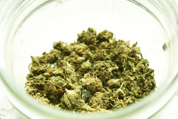 Marihuana Seca Concepto Drogadicción Concepto Marihuana Medicinal — Foto de Stock