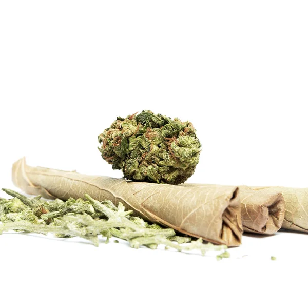 Konzeptionelle Zusammensetzung Der Marihuana Produktion Stillleben Isoliert Auf Weißem Hintergrund — Stockfoto