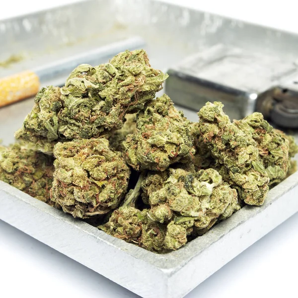 Koncepcyjny Skład Marihuany Produkującej Martwa Życie Białym Tle — Zdjęcie stockowe