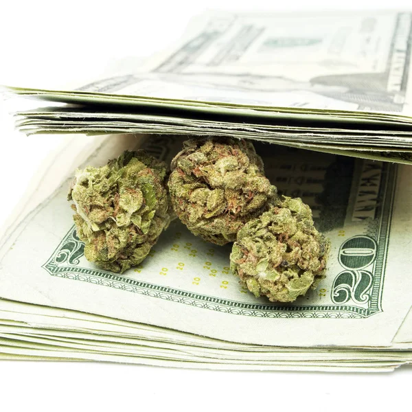 Marihuana ja raha — kuvapankkivalokuva