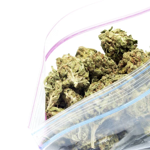 Conceptuele Samenstelling Van Marihuana Produceren Stilleven Geïsoleerd Witte Achtergrond — Stockfoto