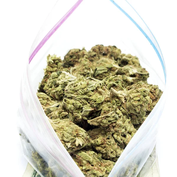 Composición Conceptual Producción Marihuana Bodegón Aislado Sobre Fondo Blanco — Foto de Stock