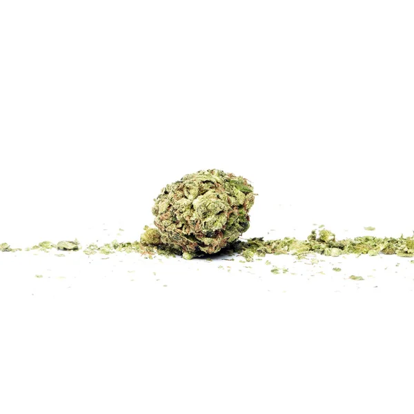 Composição Conceitual Produção Maconha Ainda Vida Isolada Fundo Branco — Fotografia de Stock