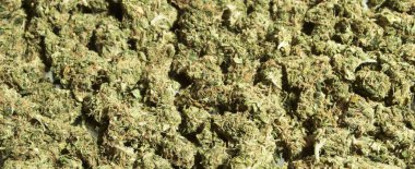 Esrar üreten kavramsal bileşimi, hala hayat.