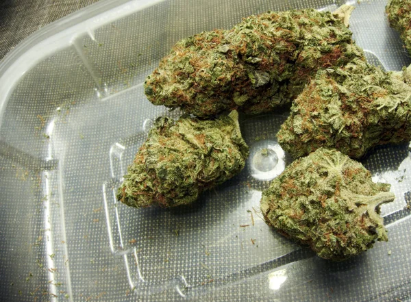 Marijuana Narkotikamissbruk Koncept Medicinsk Marijuana Concept — Stockfoto