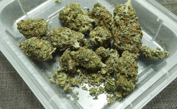 Torkad Marijuana Narkotika Missbruk Koncept Medicinsk Marijuana Koncept — Stockfoto