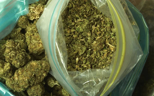 Kurutulmuş Marijuana Uyuşturucu Bağımlılığı Kavramı Tıbbi Esrar Kavramı — Stok fotoğraf