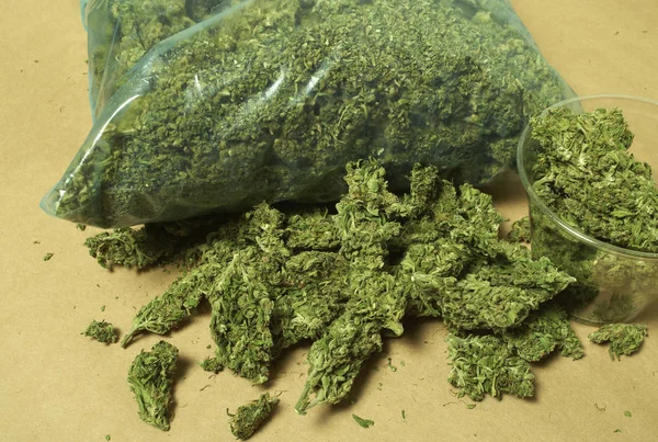 Marihuana Verpackt Drogenabhängigkeit Medizinisches Marihuana Konzept — Stockfoto