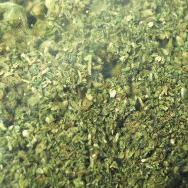 paketlenmiş marihuana, Kenevir Bitkisinden tomurcuklar  