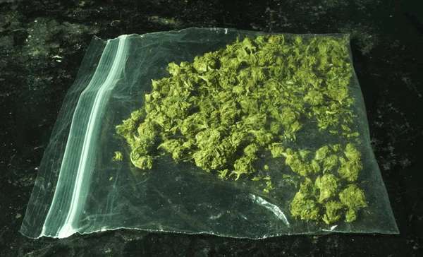 包装大麻 从大麻植物芽 — 图库照片