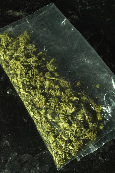 Paketlenmiş Marihuana Kenevir Bitkisinden Tomurcuklar — Stok fotoğraf