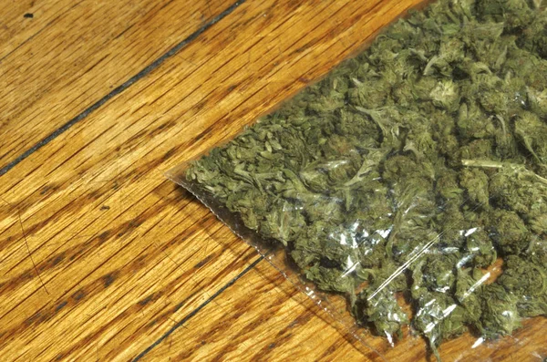 Packade Marijuana Knoppar Från Cannabis Plantan — Stockfoto