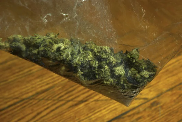 Verpakte Marihuana Knoppen Van Cannabis Plant — Stockfoto