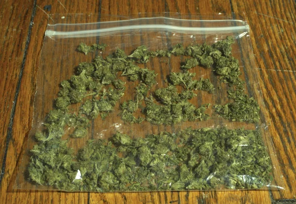 Paketlenmiş Marihuana Kenevir Bitkisinden Tomurcuklar — Stok fotoğraf