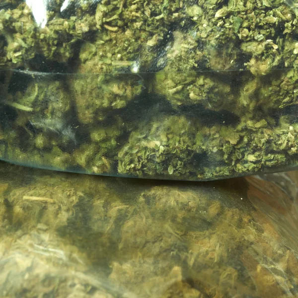 Maconha Embalada Botões Planta Cannabis — Fotografia de Stock