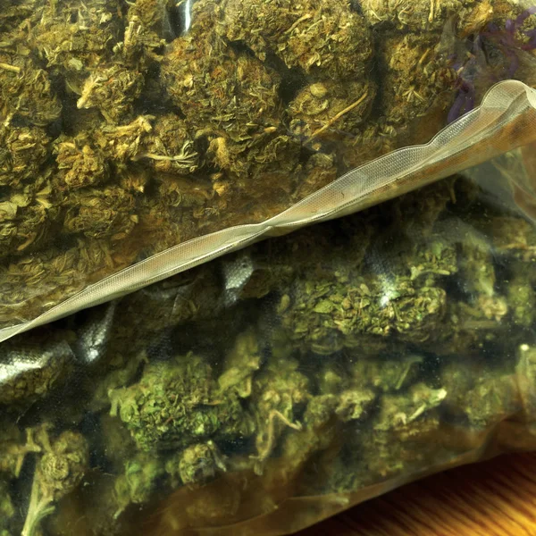 Csomagolt Marihuána Bimbók Cannabis Növény — Stock Fotó